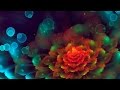 639Hz | Heart Chakra Solfeggio Frequency | Sleep Meditation Music | 9 Hours