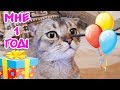 ДЕНЬ РОЖДЕНИЯ КОТЁНКА ЧЕРНОРЫЖА 1 ГОД! CAT'S BIRTHDAY