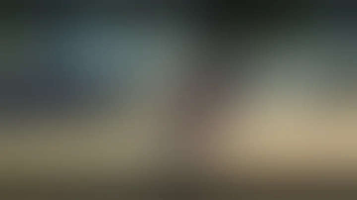 L.A. Noire Walkthrough - The Golden Butterfly (5 stars) - Part 1