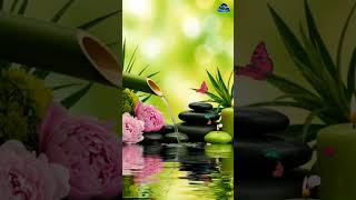Relaxing Music - Calming Music🎶 Stress Relief 🌿Soothing Piano + Water Sounds