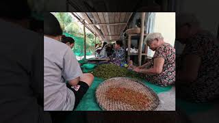 Secret Farm on Phu Quoc - Vietnam