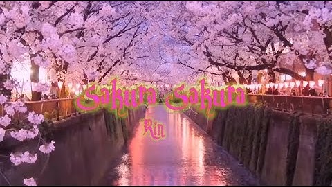[Vietsub + Lyric Romaji] Sakura sakura (サクラサクラ) - Rin || Nhạc Nhật hay cảm động