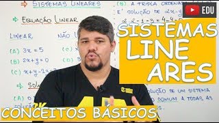 🔴 SISTEMAS - CONCEITOS BÁSICOS (EQUAÇÃO LINEAR)