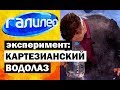 Галилео. Эксперимент ⚠ Картезианский водолаз 🚰 Cartesian diver