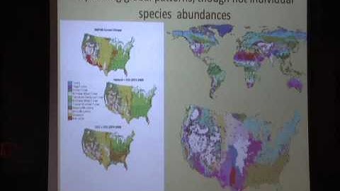 Collective Phenomena, Collective Motion, and Collective Action in Ecological Systems - Simon Levin