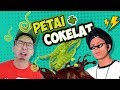 Download PETE + COKELAT Atta Halilintar Wkwkwkwk #EGY enak gak ya PETE + COKELAT Atta Halilintar Wkwkwkwk #EGY enak gak ya