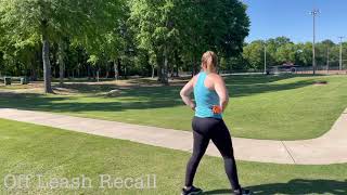 Smokey, 2Yo Boxergerman Shepherd Mix - 1Week Board And Train Before And After Video