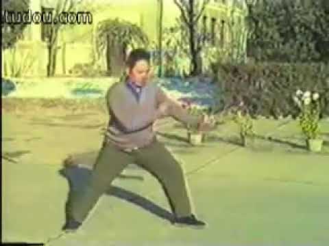 陳氏太極拳陳発科高徒馮志強新架二路Chen faka style Taichi