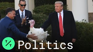 It's Butter! Trump Pardons Thanksgiving Turkey