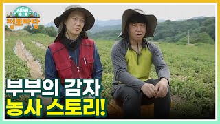 부부의 감자 농사 스토리! 어엿한 농부로 거듭나는 전문 농사꾼 MBN 220805 방송