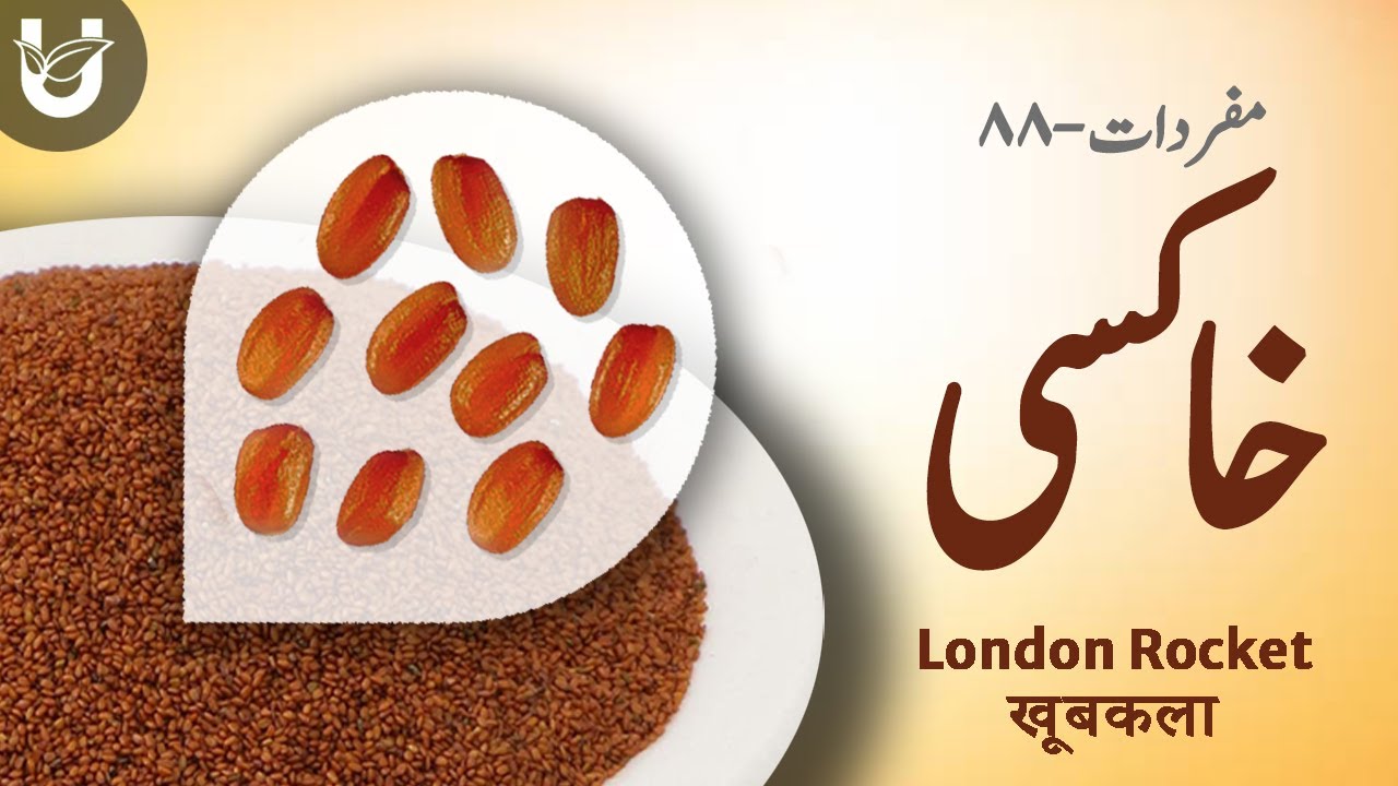 KHAAKSI | London rocket | خاکسی