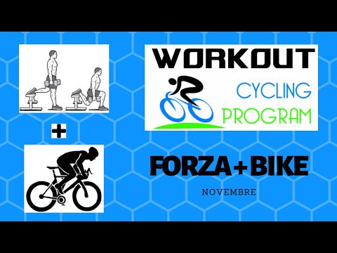 Video: Questa settimana in bici: 11 novembre