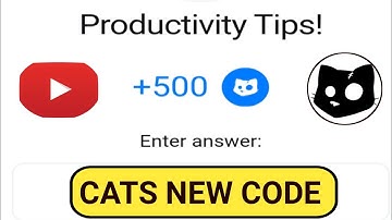 Cats Code | Productivity Tips Cats Code |  How To Stay Productive Cats Code | Cats Code Today