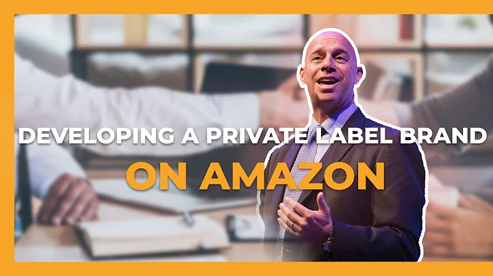 Inside Information on How Amazon Sellers Can Developing a Six, Seven Figure Private Label Brand Now