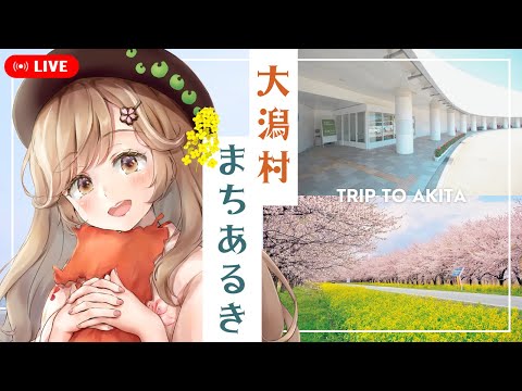 秋田県人必見！「大潟村」の名所をストリートビューで巡るべ✨┊︎#秋田 #秋田県 #蕗之葉みもざ