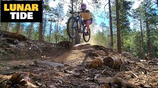 Another Awesome New Trail | Lunar Tide + Brookbank | Mountain Biking Flagstaff Arizona