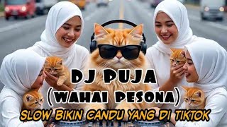 Download Lagu DJ PUJA (wahai pesona) SLOW BIKIN CANDU YANG DI TIKTOK BY Yanz Tube MP3