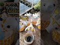 🦒♻️ Cómo hacer una jirafa reciclada con botellas plásticas | Manualidad fácil y divertida#diy #hack