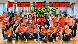 ( IT GOES LIKE ) NANANA | PEGGY GOU | ZUMBA | ZIN RIVA Resimi