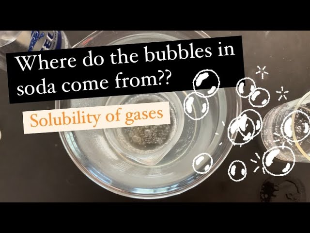 Why Do Bubbles Form In A Glass Of Water That's Left Out? » Science ABC