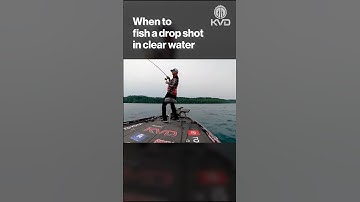 How the pros fish a #dropshot . #fishingtips #fishing @bassproshops @StrikeKingLure