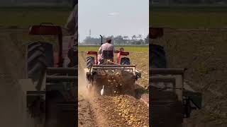 bollywood music hindisong bollywoodsongs shortvideo urdupoetry ,kisan dost viral