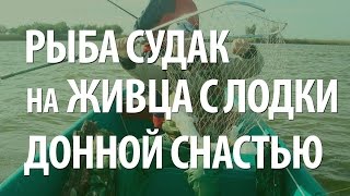 РЕЧНАЯ ЛОВЛЯ с ЛОДКИ СУДАКА на ЖИВЦА ДОННОЙ СНАСТЬЮ