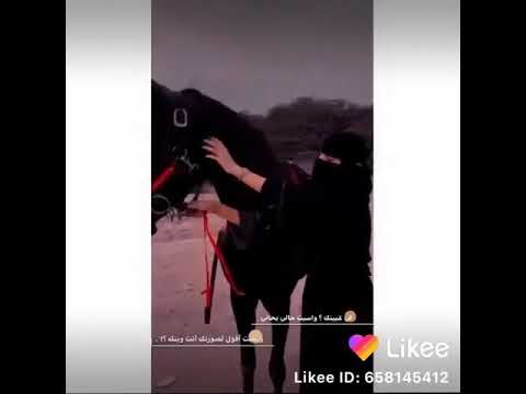 يلي هجارت القلب م ـــ ن دون سبه