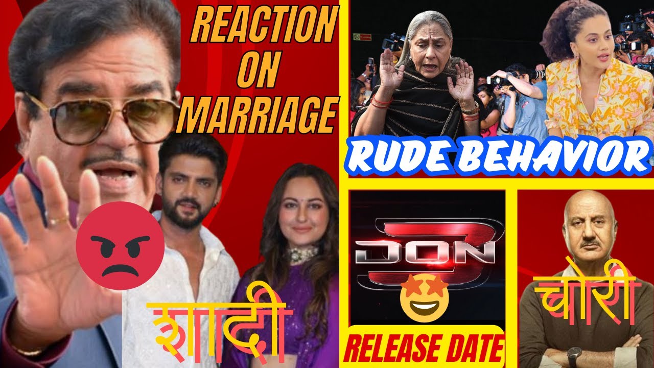 sonakshi-sinha-wedding-don-3-release