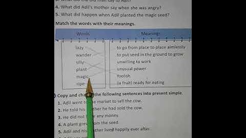 English Class 3  P.No 7 Unit 1 " Adil and Orange Seeds " Topic Exercise Q B,C