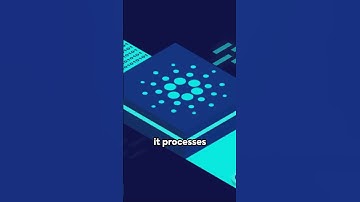 Desire: Mastering Cardano