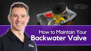 How to Perform Maintenance on Your Backwater Valve