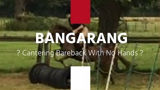 Bangarang|Cantering bareback no hands??