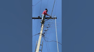 pspcl lineman #punjabisong #punjabi #newsong #music #pspcl #viralvideo #comedy #pspcllineman