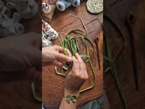 Video: Kako napraviti mehndi s listovima kane?