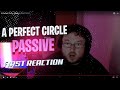 A Perfect Circle - Passive (REACTION)