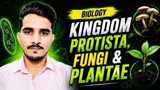 Kingdom Protista ,Fungi and Plantae Explained | Class 11 Biology New Book 2025 | Urdu/Hindi | PECTAA