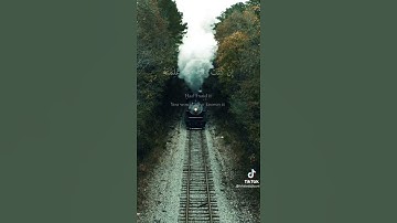 قرآن كريم بصوت القارئ محمد الغزالي تلاوة خاشعة و مؤثر ارح قلبك 💚🌿حالة واتس اسلامية /ستوريات انستغرام