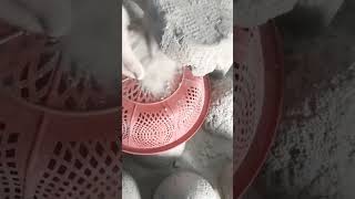 Check Discription For Full Video Link