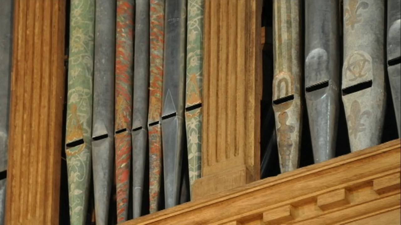 ACORG Tuyaux d'orgue