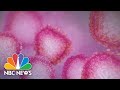 New Research Shows COVID-19 Patients Who Test Positive Second Time May Not Be Infectious | NBC News