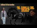 " UN REGALO DEL DIABLO " / relatos del rancho con caballos endemoniados...