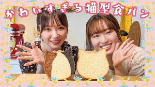 【猫好きにはたまらない...♡】みきぽんさんとキュートすぎる猫型食パン作り！