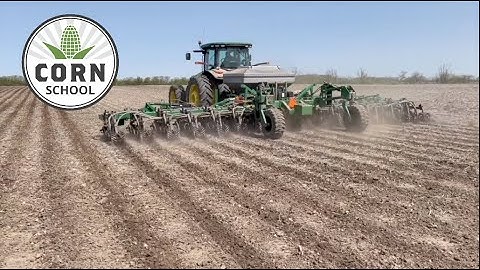 Corn School: Nitrogen placement in strip till for safety and yield