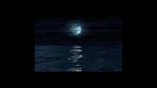 I keep telling myself - Julio Iglesias | Lyrics