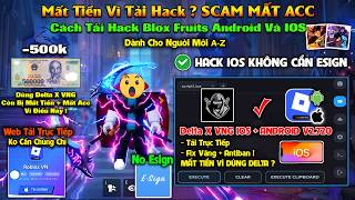 Dùng Delta X VNG Mất Lun Tiền... ? Cảnh Báo Scam Khi Hack Blox Fruits, Chiêu Trò Lấy Acc Mới 2026 !