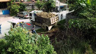 Download Lagu Amazing Start New Landfill Use Dump Truck Unload Stone with Skill D20P Dozer Pushing into Flood Area MP3 Download Lagu Amazing Start New Landfill Use Dump Truck Unload Stone with Skill D20P Dozer Pushing into Flood Area MP3