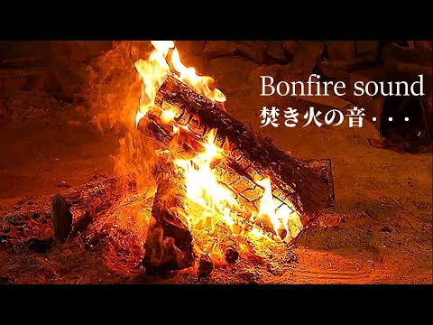 焚き火の心地よい音でくつろぐ１時間 【睡眠導入・癒し動画・ASMR】