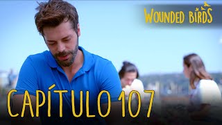 Wounded Birds (Yaralı Kuşlar) | Capítulo 107 en Español