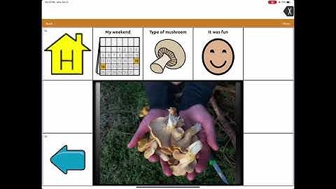 Two Ways to use TouchChat for Storytelling with Photos | Visual Scene Displays